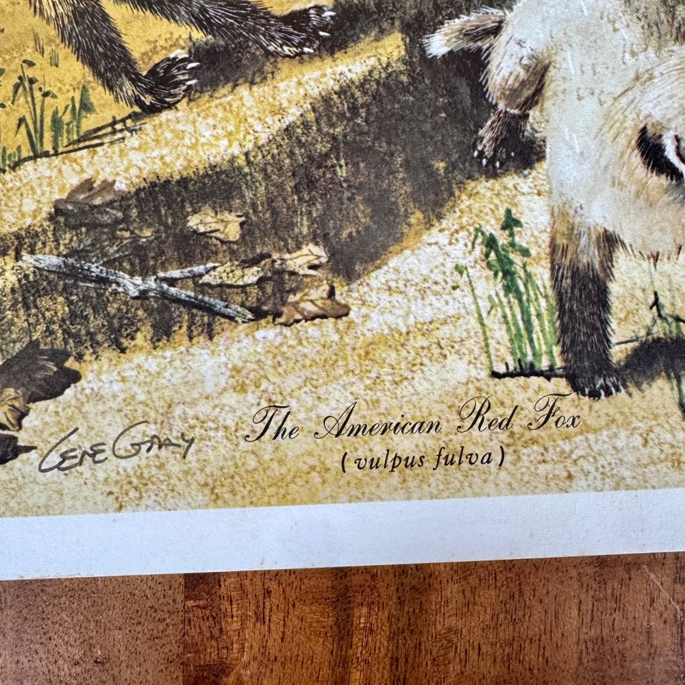 Vintage 1969 Gene Gray The American Red Fox Signed Lithograph Print 18x22 - Picture 2 of 9